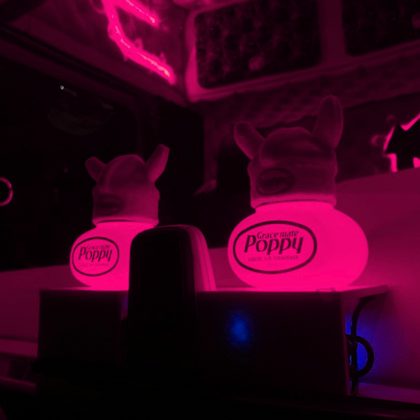 Compleet Grace Mate Poppy luchtverfrissers Pakket